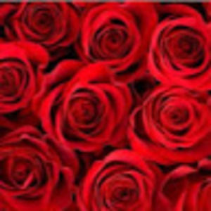 Meet your Posher, Teri